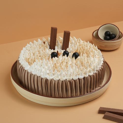 Bavarian Chocolate Cake